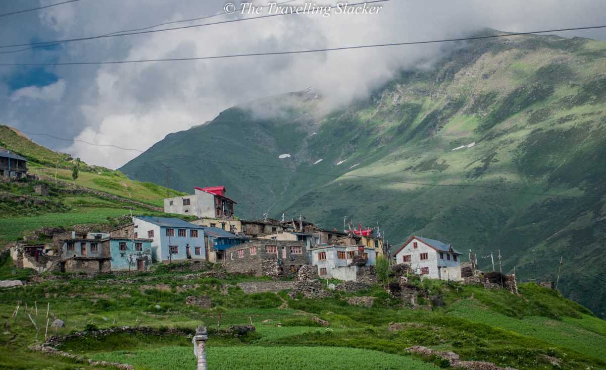 Pangi